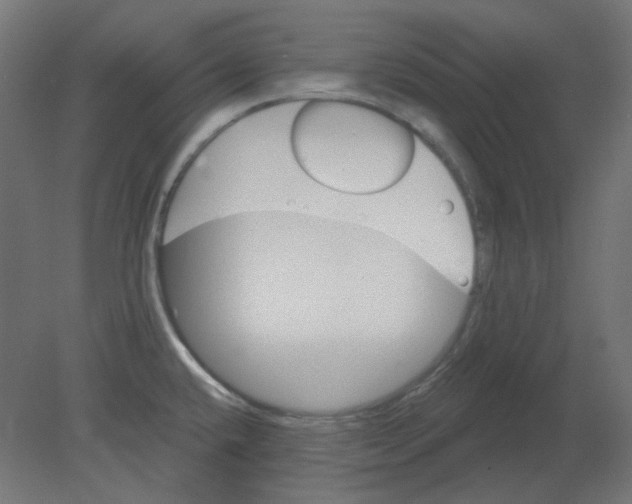 X0000080741432200701121925