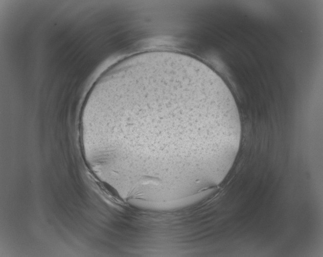 X0000080741435200701121925