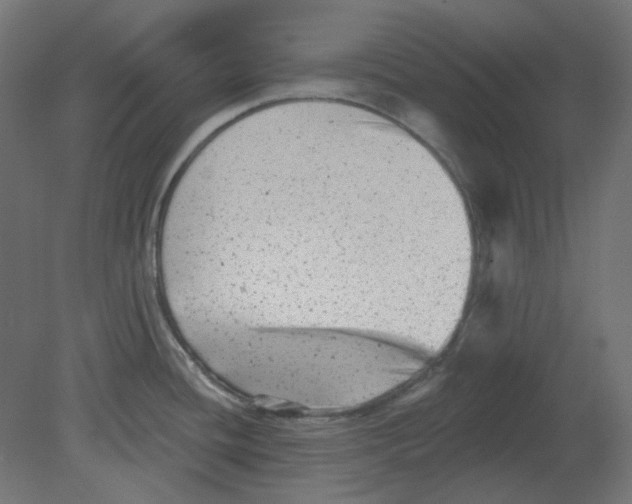 X0000080741436200701121925