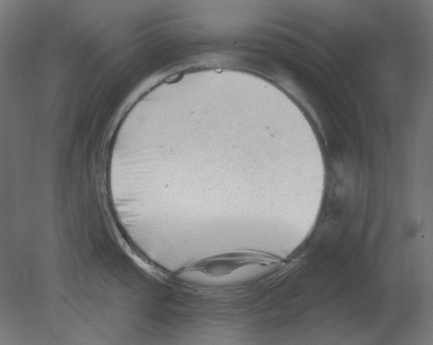 X0000080741437200701121925