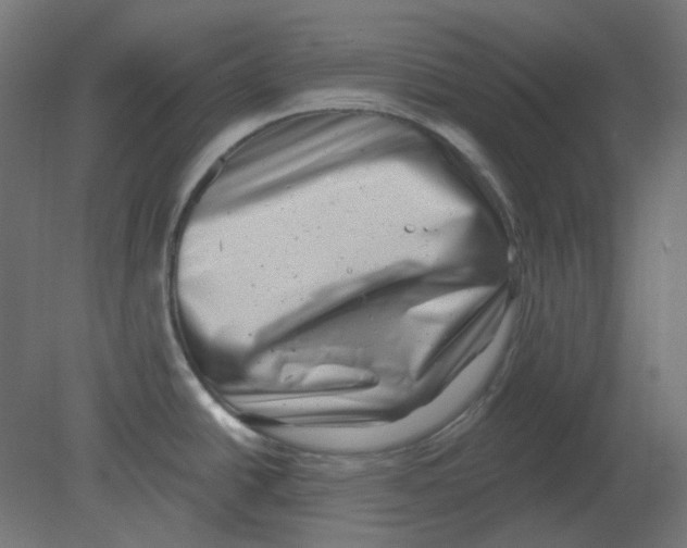 X0000080741438200701121925