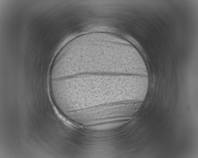 X0000080741439200701121925