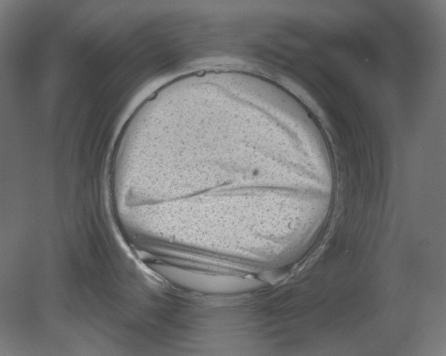 X0000080741440200701121925