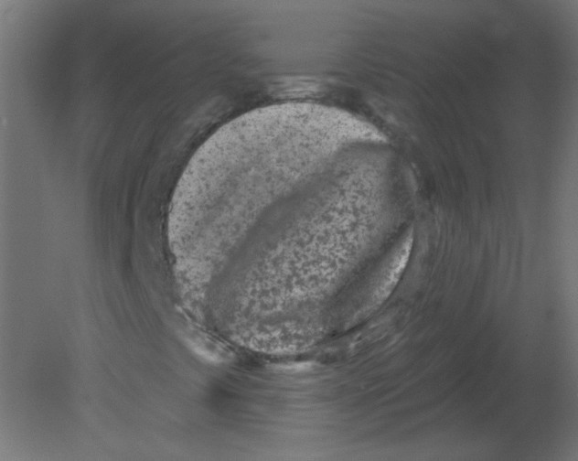 X0000080741441200701121924