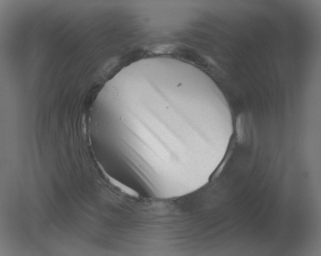 X0000080741443200701121924