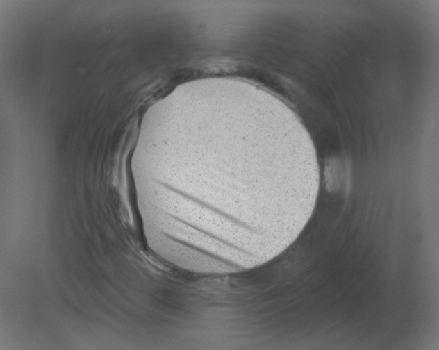 X0000080741444200701121924