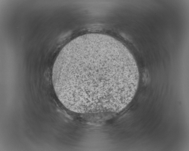 X0000080741445200701121924