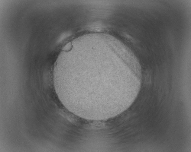 X0000080741446200701121924