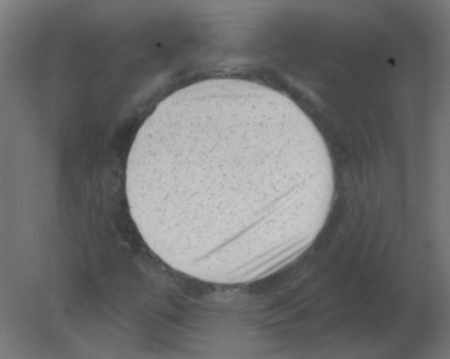 X0000080741447200701121924