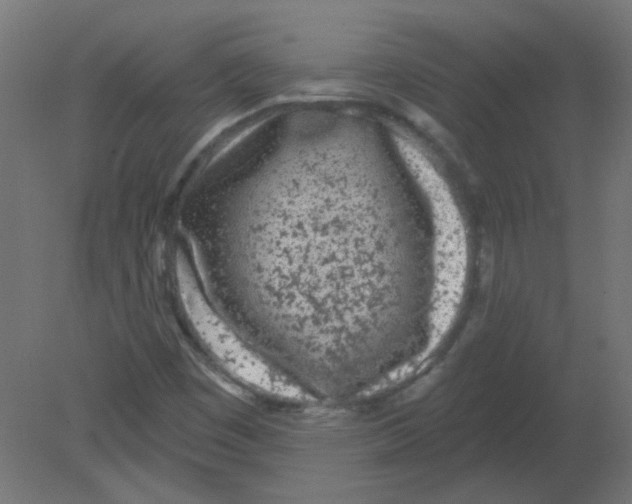 X0000080741449200701121924