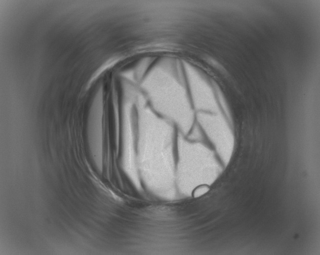 X0000080741450200701121924