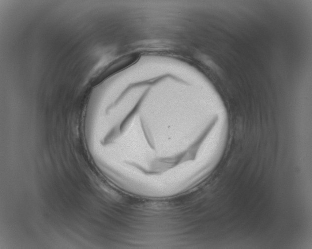 X0000080741451200701121924