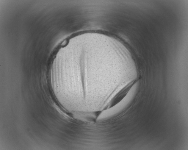 X0000080741452200701121924