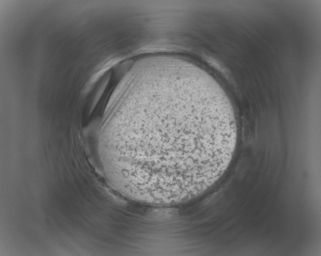 X0000080741453200701121924