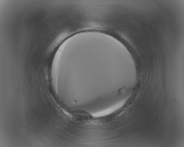 X0000080741455200701121924