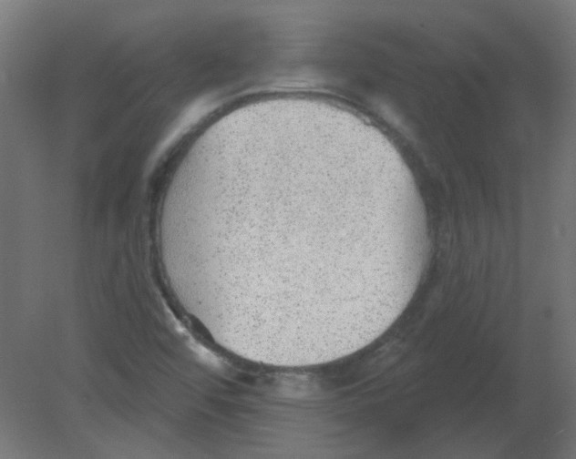 X0000080741456200701121924