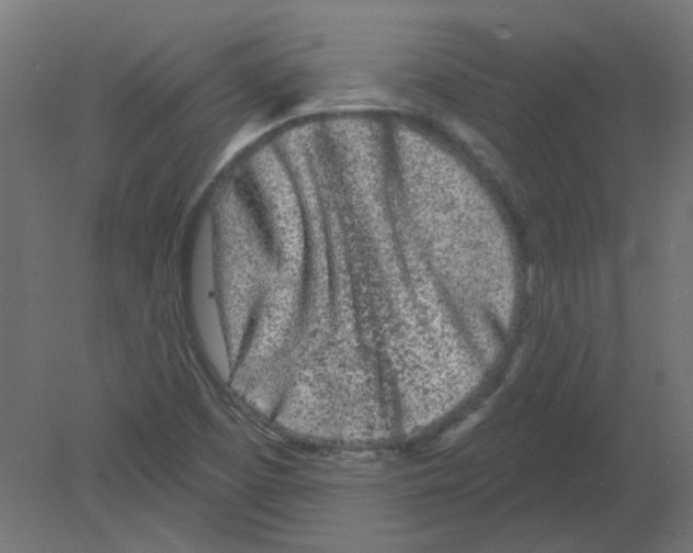 X0000080741457200701121924