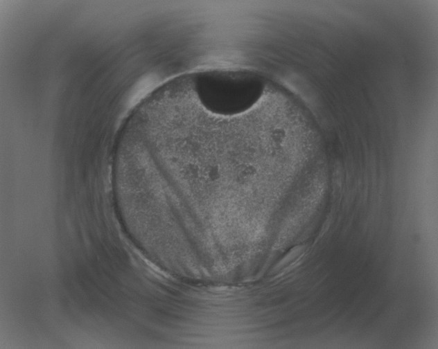 X0000080741459200701121924