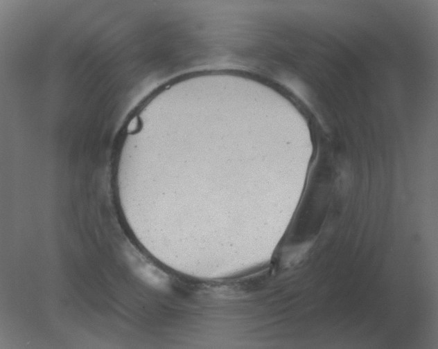 X0000080741460200701121924