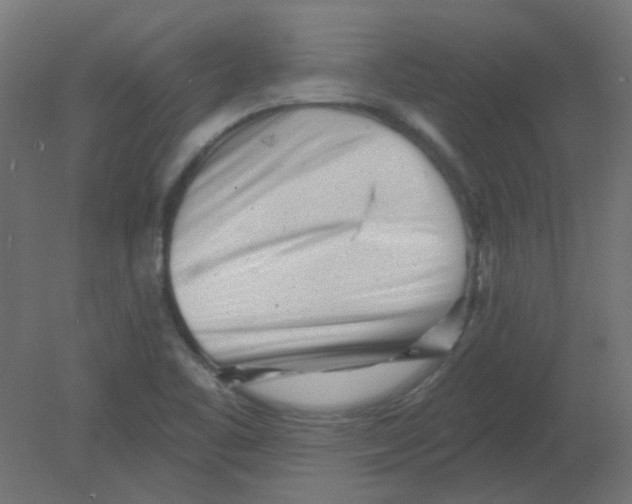 X0000080741461200701121924