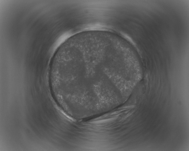 X0000080741463200701121924