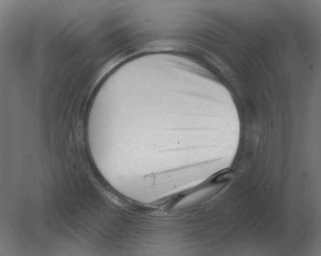 X0000080741465200701121924