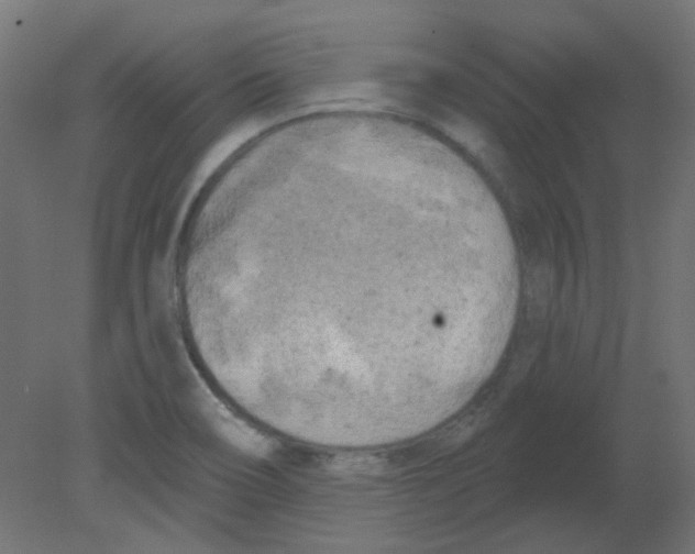 X0000080741466200701121924