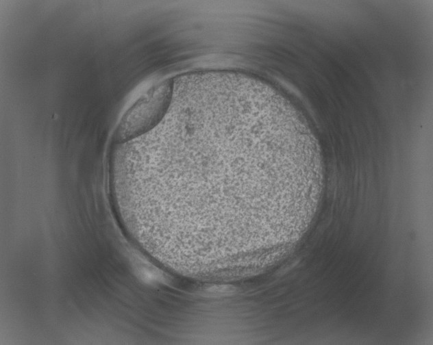 X0000080741467200701121924