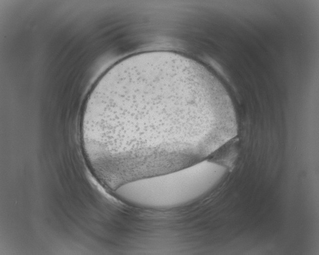 X0000080741468200701121924