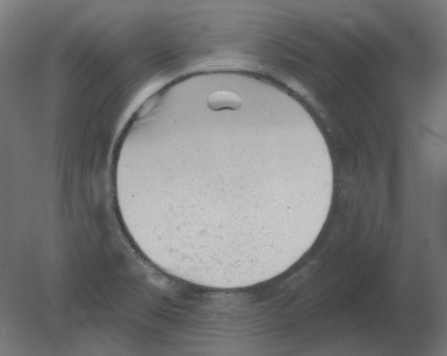 X0000080741469200701121924