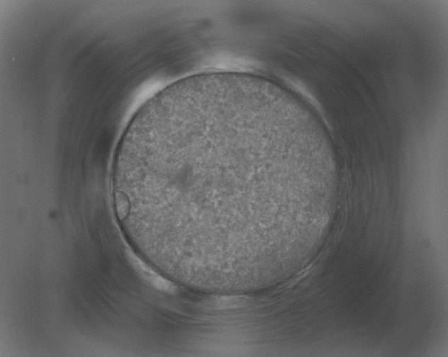 X0000080741471200701121924