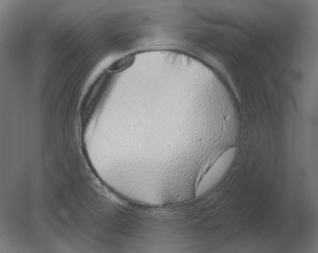 X0000080741472200701121924