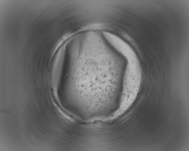 X0000080741473200701121924