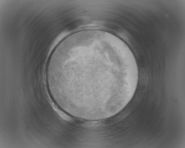 X0000080741474200701121924