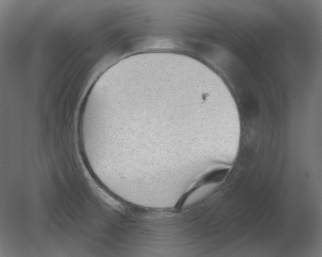 X0000080741475200701121924