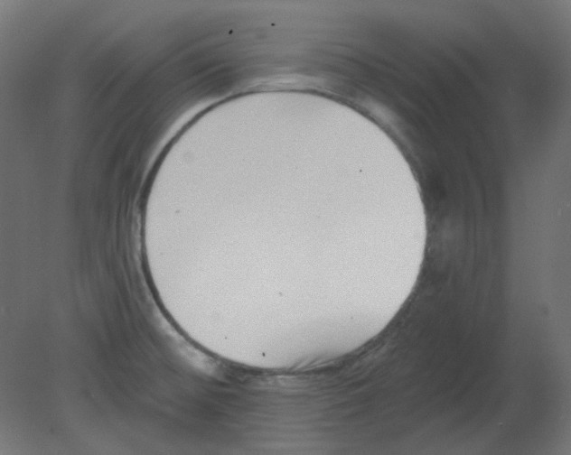 X0000080741476200701121924