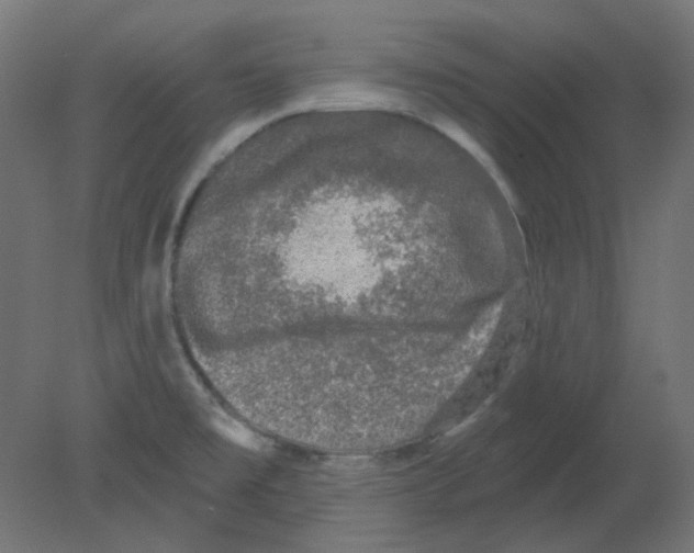 X0000080741477200701121924