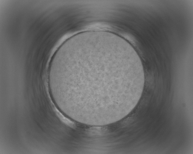 X0000080741478200701121924