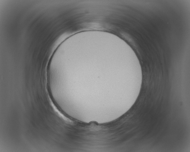 X0000080741479200701121924