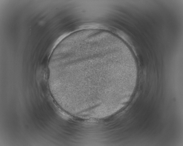 X0000080741481200701121924