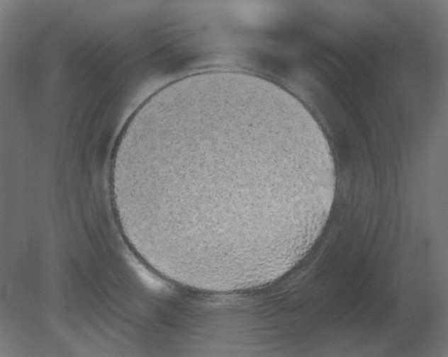 X0000080741482200701121924