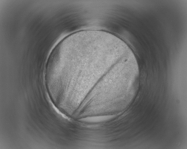 X0000080741484200701121923