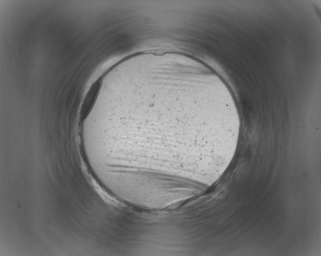 X0000080741485200701121923