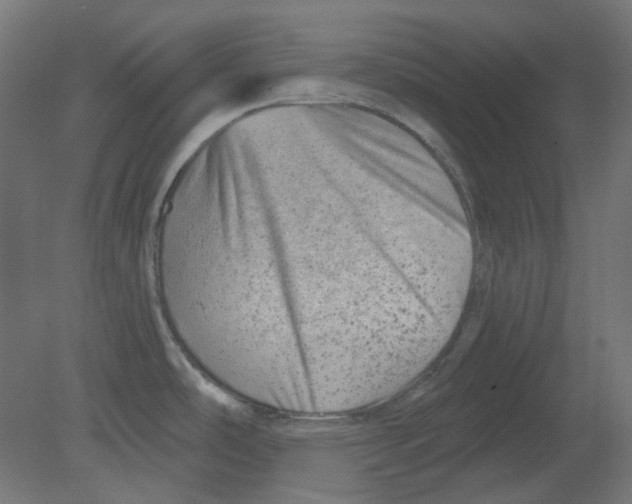 X0000080741486200701121923