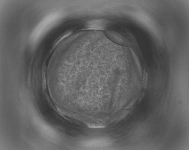 X0000080741487200701121923