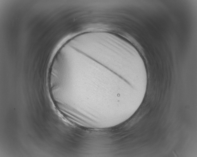 X0000080741488200701121923