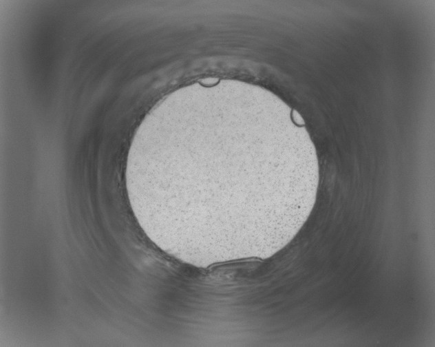 X0000080741489200701121923