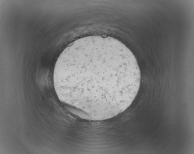 X0000080741490200701121923