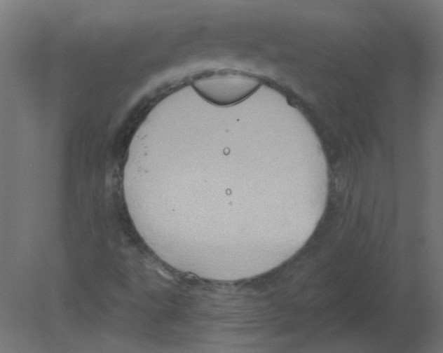 X0000080741495200701121923