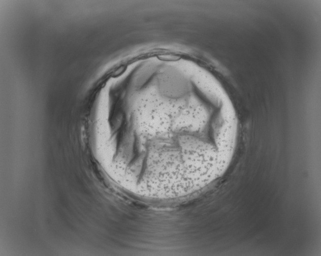 X0000080741496200701121923